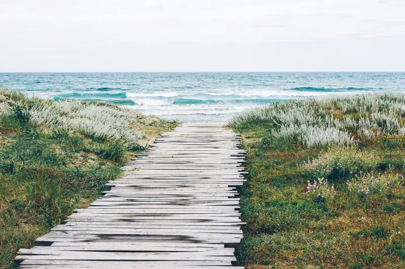 Cover Image for Finding Mindfulness on the Wooden Path to the Beach