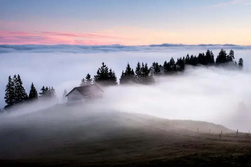 Cover Image for Morning Adventures: Embracing Nature for Mindfulness