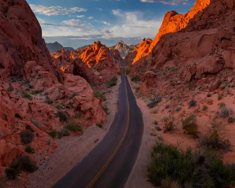 Cover Image for Connecting with Nature: The Importance of Scenic Landscapes for Mental Health