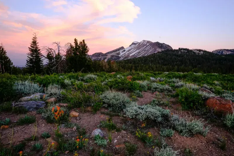 Cover Image for Connecting with Nature: The Benefits of Outdoor Meditation in Mammoth Lakes