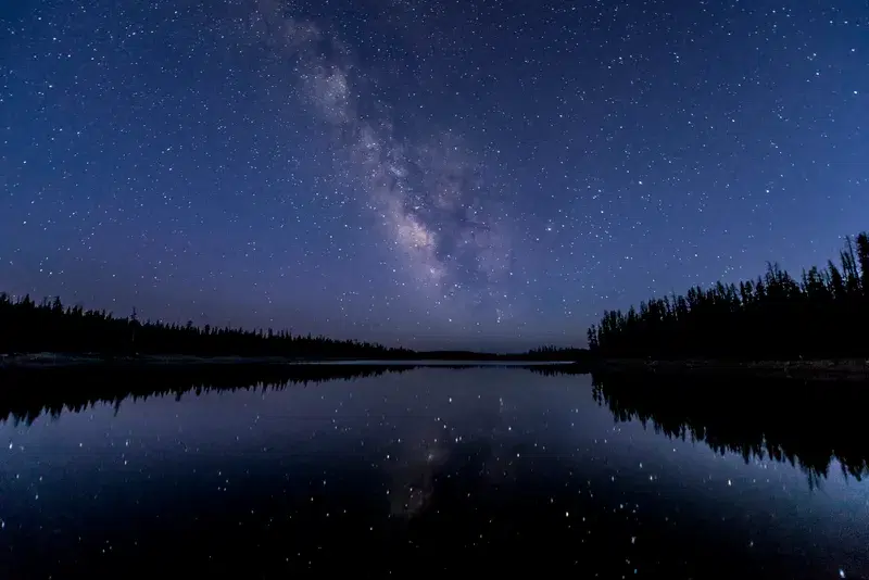 Cover Image for Finding Peace in Nature: A Night Under the Stars