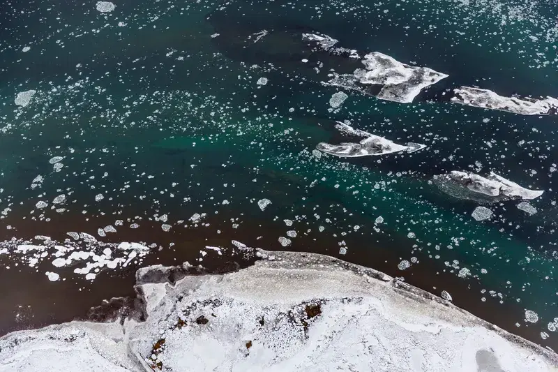 Cover Image for The Impact of Pollution on Oceanic and Mountain Ecosystems