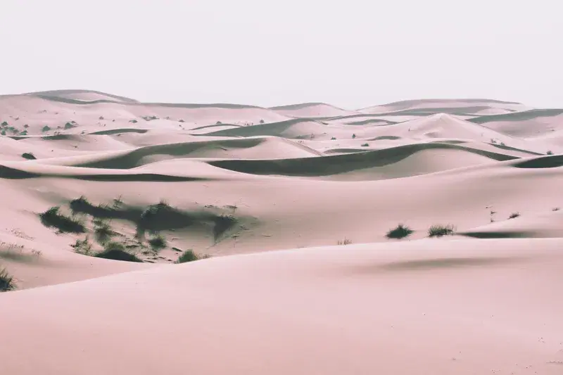 Cover Image for Embracing the Serenity of Desert Landscapes for Mindfulness