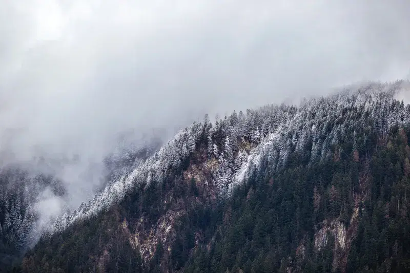 Cover Image for The Serenity of Mountain Landscapes: A Mindful Escape