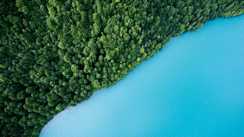 Cover Image for Finding Serenity in Nature: The Therapeutic Benefits of Spending Time by Water