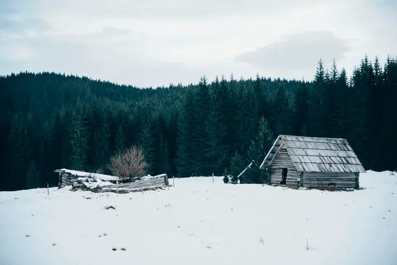 Cover Image for Finding Serenity in a Snowy Cabin Retreat