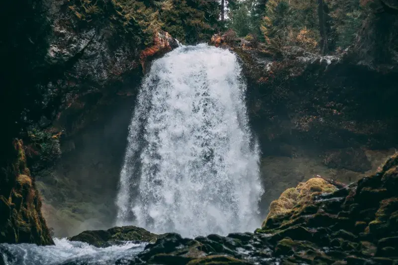 Cover Image for The Therapeutic Benefits of Nature: Finding Peace in Waterfalls and Forests