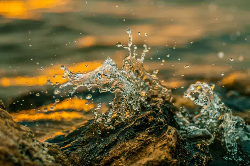 Cover Image for The Therapeutic Benefits of Nature: How Water and Light Affect Our Wellbeing