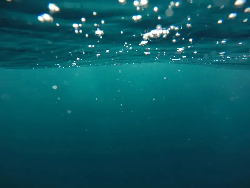 Cover Image for The Calming Effects of Water: Embracing Underwater Environments for Mental Wellness