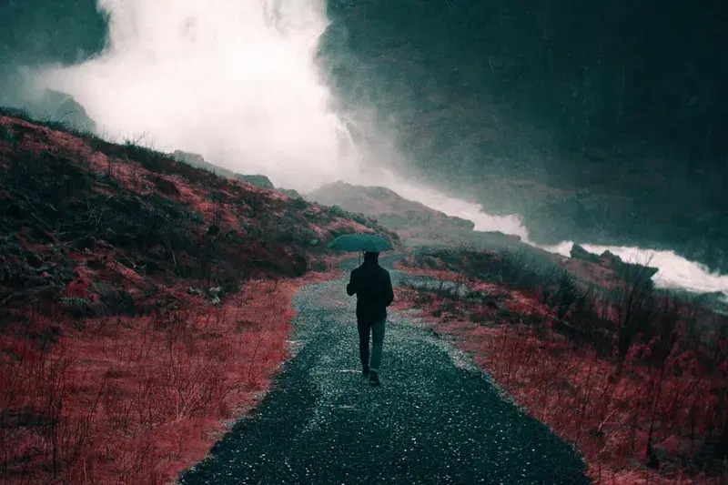 Cover Image for Walking in Nature: The Benefits of Mindful Hiking
