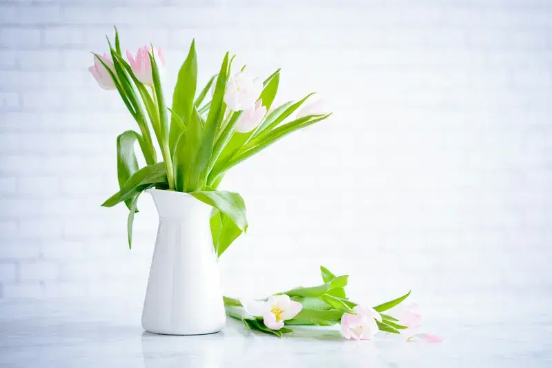 Cover Image for The Wellness Benefits of Bringing Nature Indoors: Flower Arrangements for Mindfulness