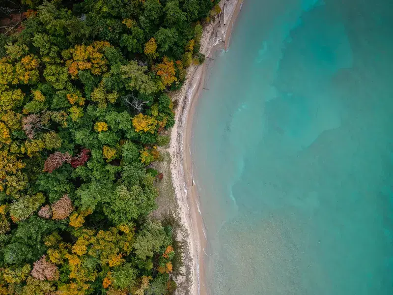 Cover Image for Connecting with Nature: The Benefits of Beach and Coastal Mindfulness