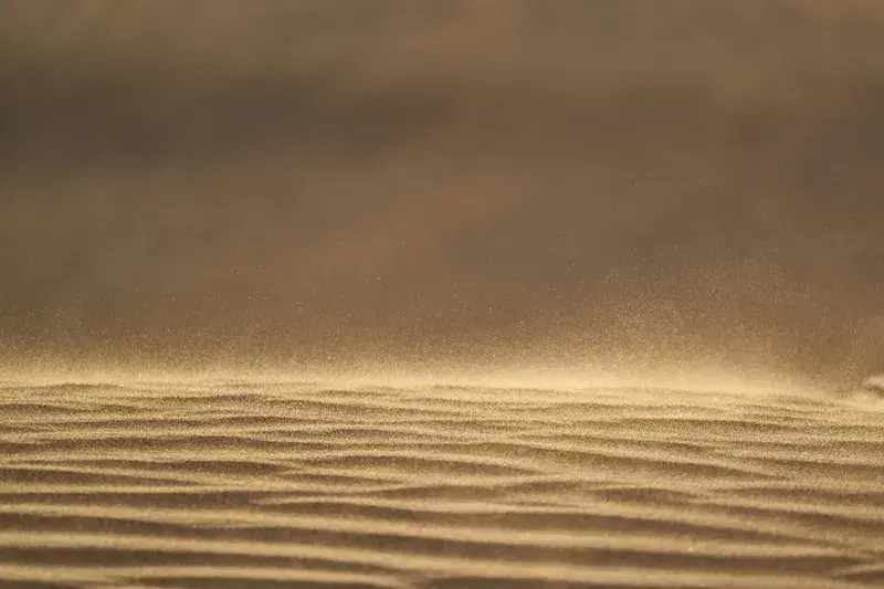 Cover Image for Embracing Nature's Patterns: The Therapeutic Benefits of Observing Sand Dances