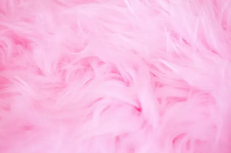 Cover Image for Embracing Softness: The Benefits of Cozy Textures for Mental Well-Being