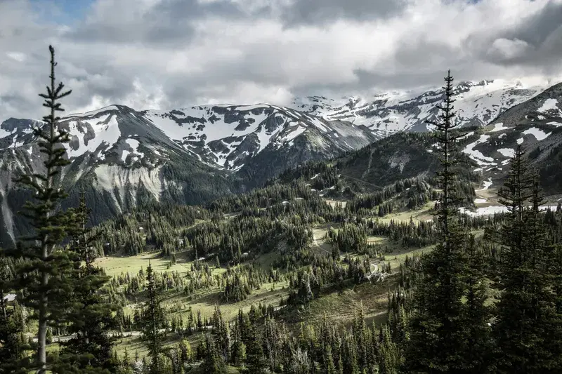 Cover Image for Embracing the Wilderness: Finding Wellness Beyond Your Comfort Zone