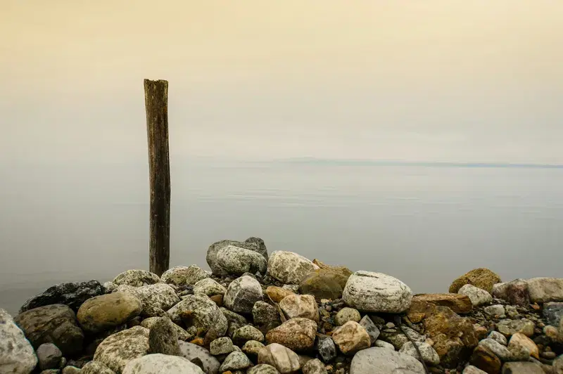 Cover Image for Finding Peace in Nature: Benefits of Mindfulness by the Water