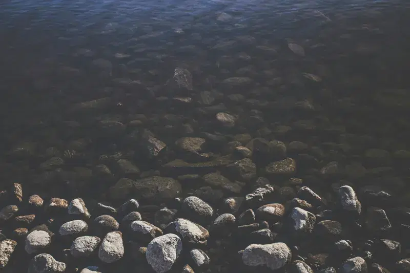 Cover Image for Finding Peace in Nature: The Benefits of Natural Scenery for Mental Wellness