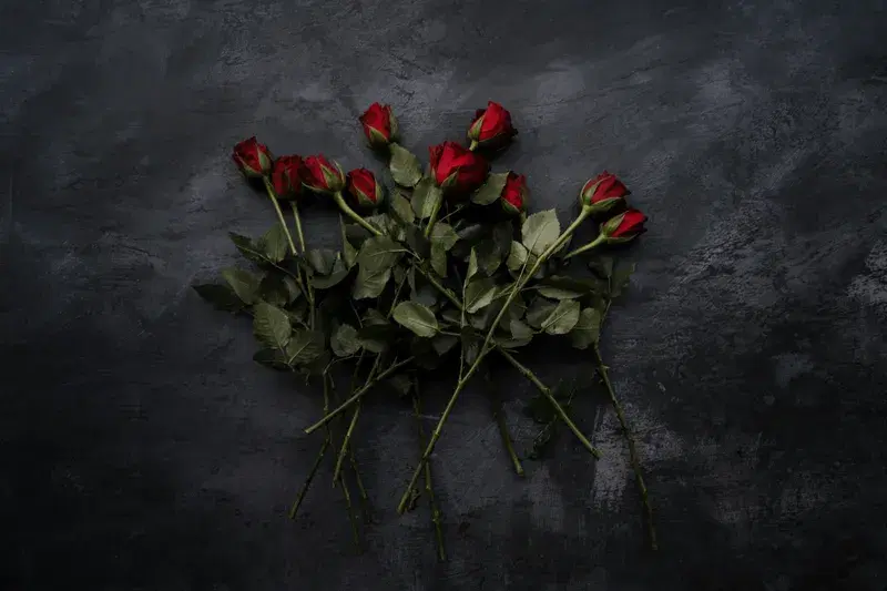 Cover Image for The Symbolism of Roses: Enhancing Mindfulness Through Nature